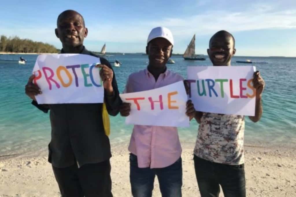 Volunteer with Marine Impact observing dolphins from a research vessel in Zanzibar
