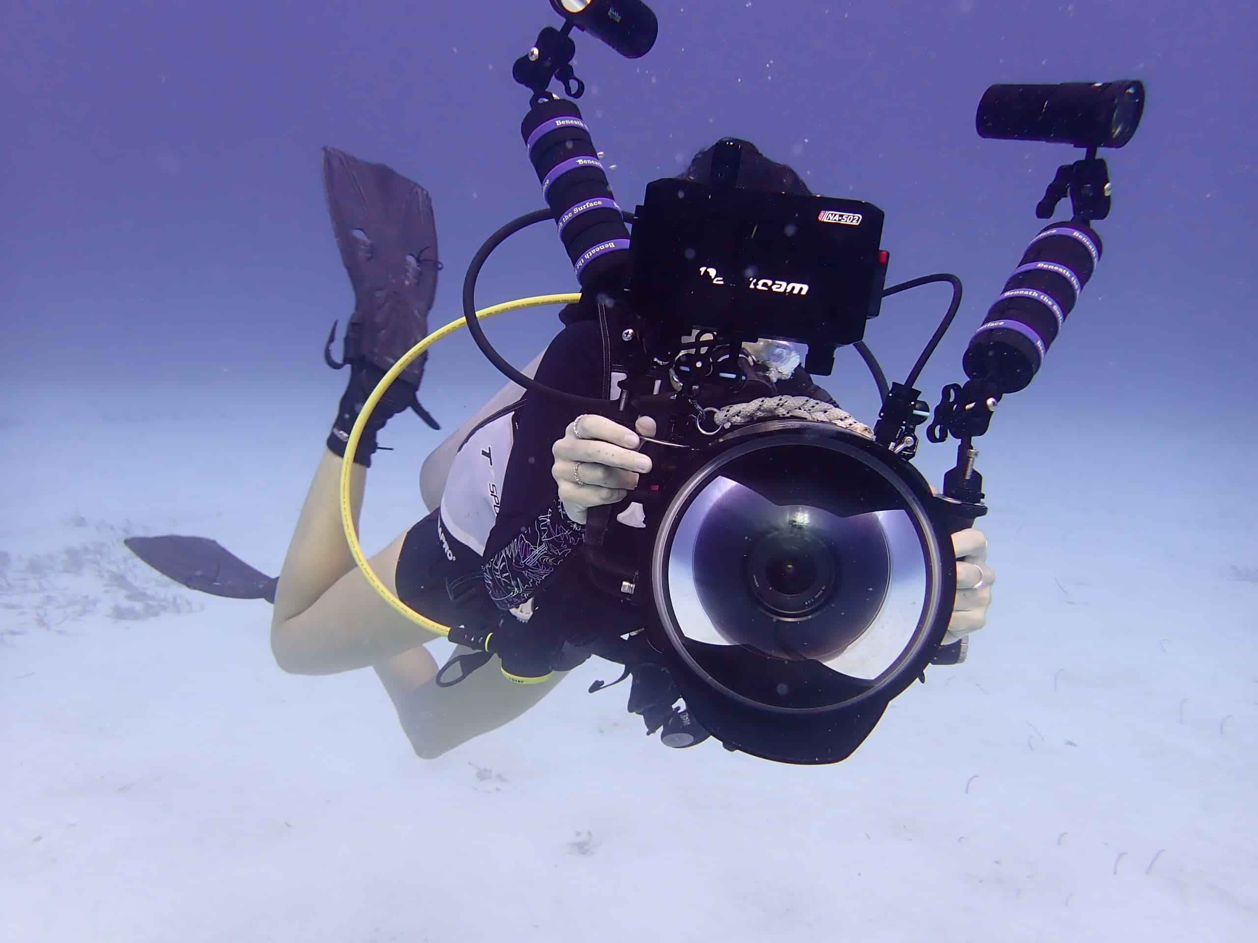 Diver holding a camera underwater